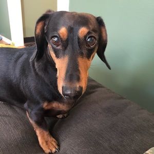 Meet your Posher, Michelle